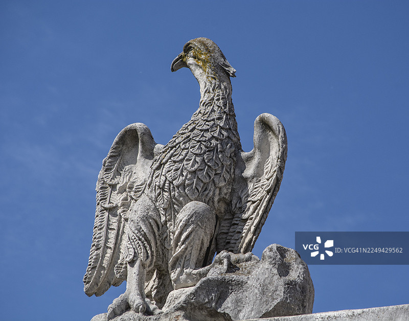 意大利马尔凯乌尔比诺的石头鸟雕像图片素材