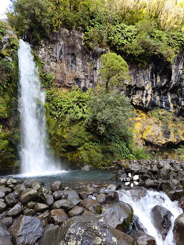 森林中瀑布的风景图片素材