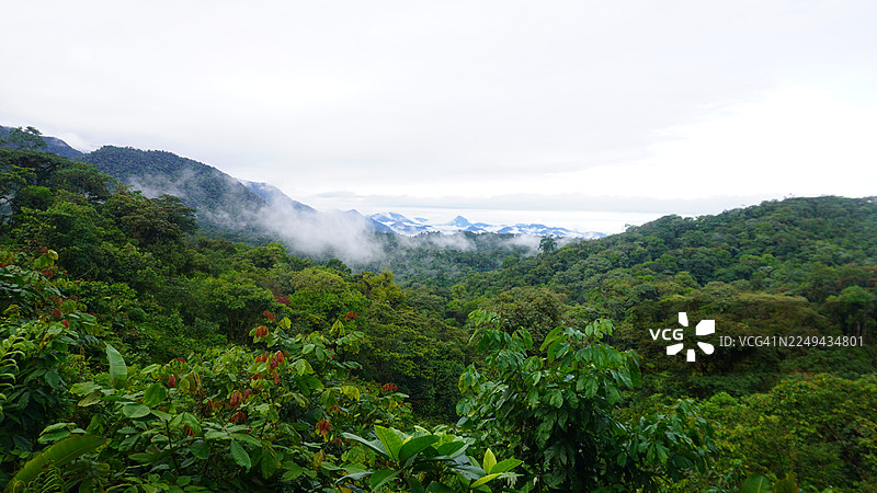 哥伦比亚 El Carmen de Atrato，阴天下的葱郁森林和薄雾笼罩的山峦，展示着自然之美与环境保护图片素材