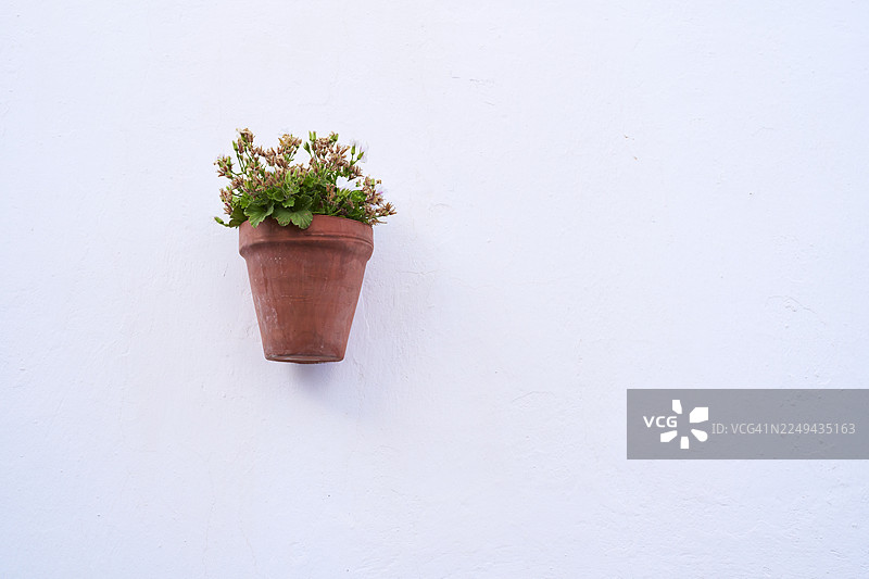 绿植悬挂在白墙上的陶土花盆图片素材