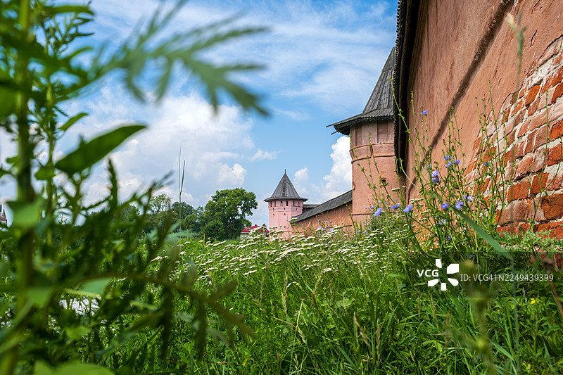 从低角度拍摄的历史修道院墙壁和塔楼，背景是蓝天，周围环绕着茂盛的绿色植物和野花。图片素材