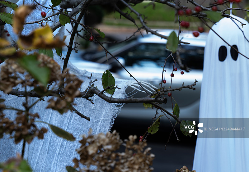 树枝上挂着诡异的万圣节鬼魂装饰，旁边有红色浆果和秋叶，背景是模糊的汽车图片素材