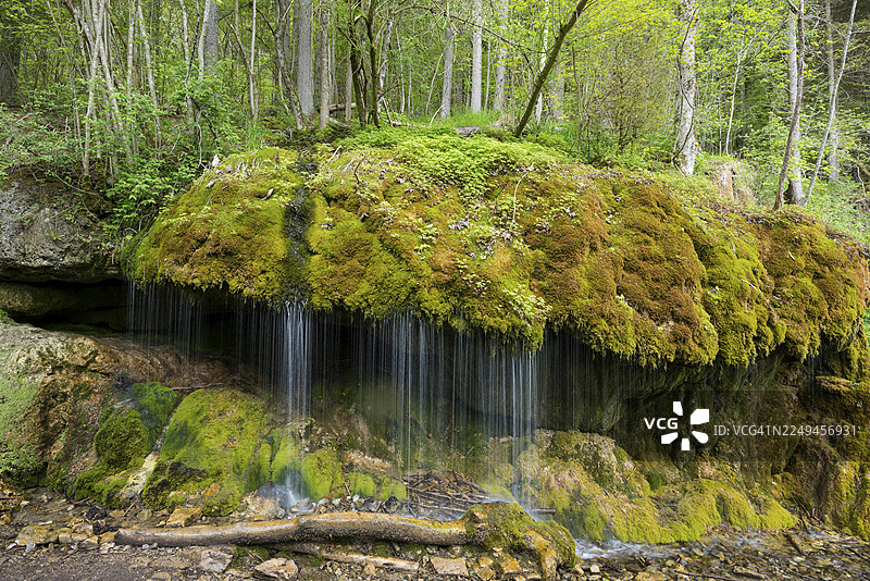 长满苔藓的岩石和瀑布，位于德国黑森林菲尔德基希的武塔赫峡谷图片素材