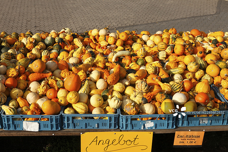 各种南瓜，市场摊位，北莱茵-威斯特法伦州，德国图片素材