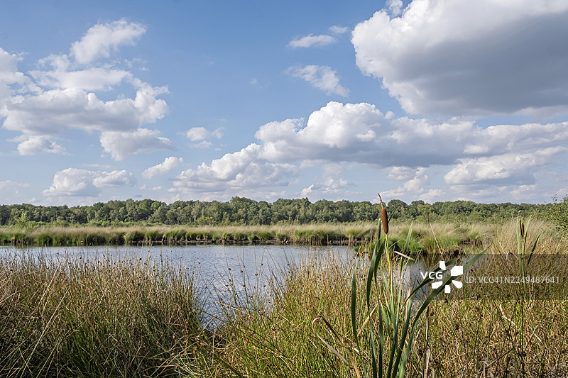 荷兰上艾瑟尔省哈克斯贝赫的哈克斯贝赫芬自然保护区图片素材