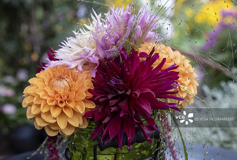 小花束，包含大丽花，德国北莱茵-威斯特法伦州图片素材