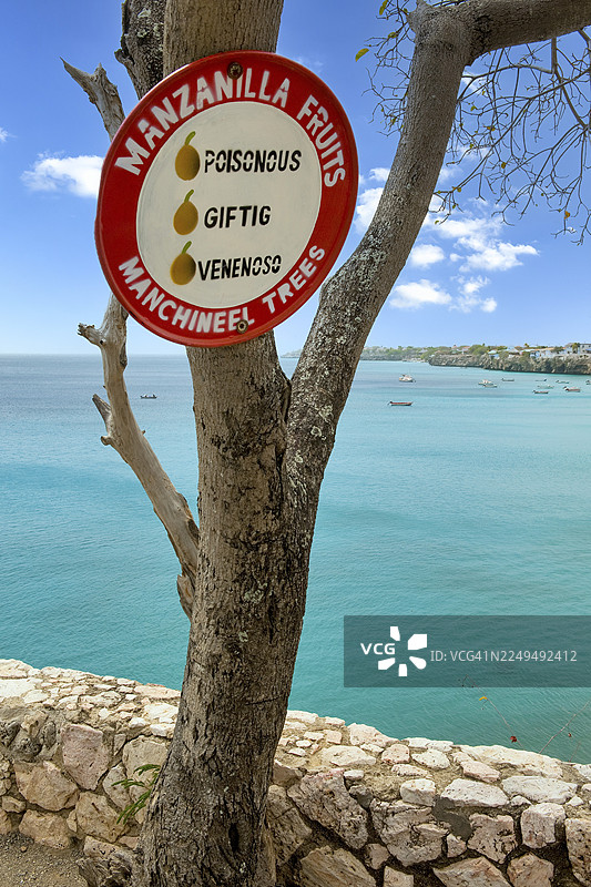 警告标志，禁止食用剧毒的沙滩苹果（海滨山榄），又名海滨山榄，属于大戟科，产自库拉索。图片素材