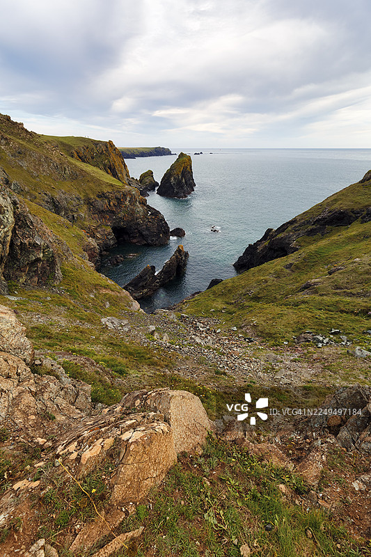 英国康沃尔郡，蜥蜴半岛，芒茨湾，悬崖，凯南斯湾的岩石海岸图片素材