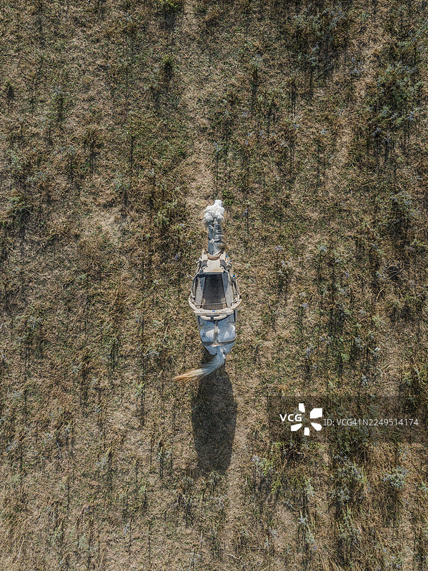从正上方拍摄的巴尔干驴在围场里的照片，位于阿尔巴尼亚夫罗勒县希马拉图片素材