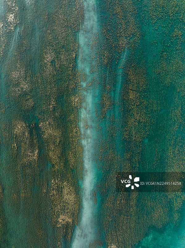 从俯视角度拍摄的斯库台湖畔芦苇，阿尔巴尼亚斯库台县斯库台图片素材