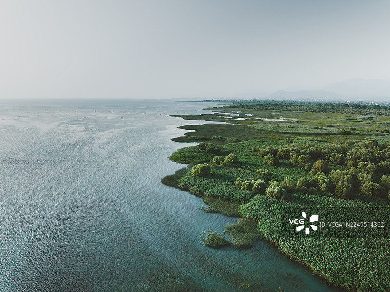 俯瞰图，展示了阳光明媚的日子里斯库台里湖畔的沼泽地，位于阿尔巴尼亚斯库台县斯库台图片素材