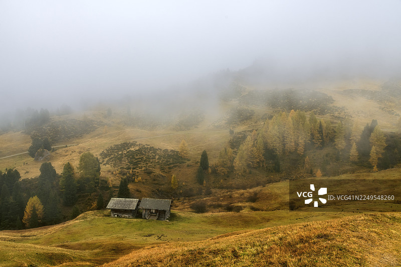 阿尔卑斯山塞切达的雾图片素材