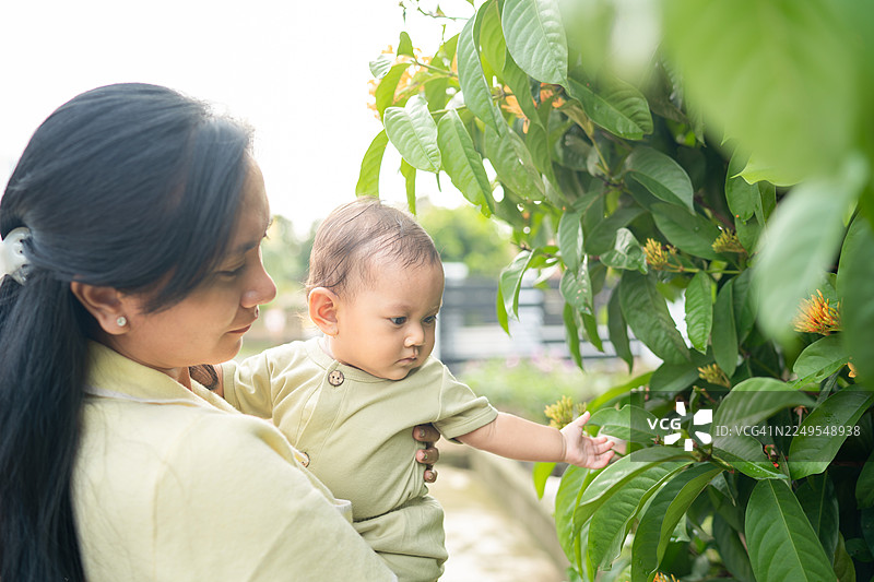 大人帮助婴儿探索户外植物图片素材