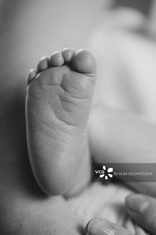 新生儿的脚在父母的手中，黑白。图片素材