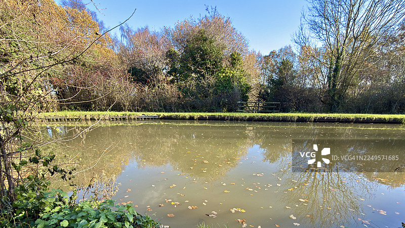 秋叶漂浮在倒映着树木的考文垂运河水面上的林地景象图片素材