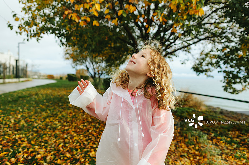 秋日树下玩耍的孩童图片素材