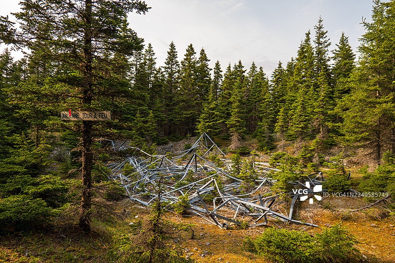 加拿大魁北克省安提科斯蒂岛，卡考伊角森林的一片空地，高大的松树和岩石地面间散落着一座老旧火灾瞭望塔的残骸图片素材