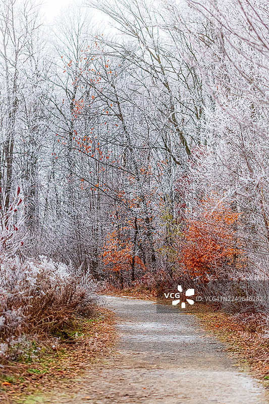 加拿大安大略省渥太华清晨的雾凇。图片素材