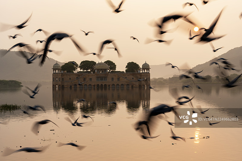斋浦尔玛纳萨格尔湖中心，一群鸟儿飞过水宫图片素材