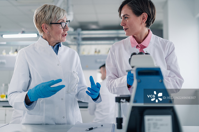 女科学家在实验室讨论研究成果图片素材