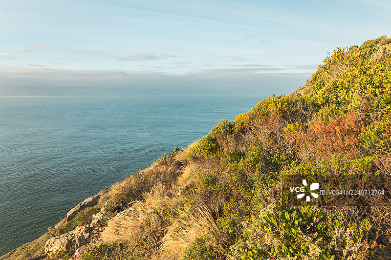 南非罗伯格自然保护区风景优美的海岸步道，金色时分——岩石峭壁、木制栈道和海洋景观图片素材
