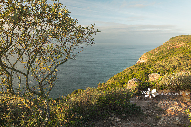 南非罗伯格自然保护区金色时光下的风景优美的海岸步道——岩石悬崖、木制小径和海景图片素材