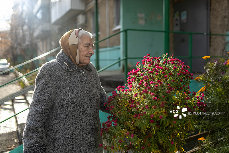 一位身穿灰色外套的老年女性在阳光明媚的城市人行道上欣赏鲜艳的粉色花朵图片素材