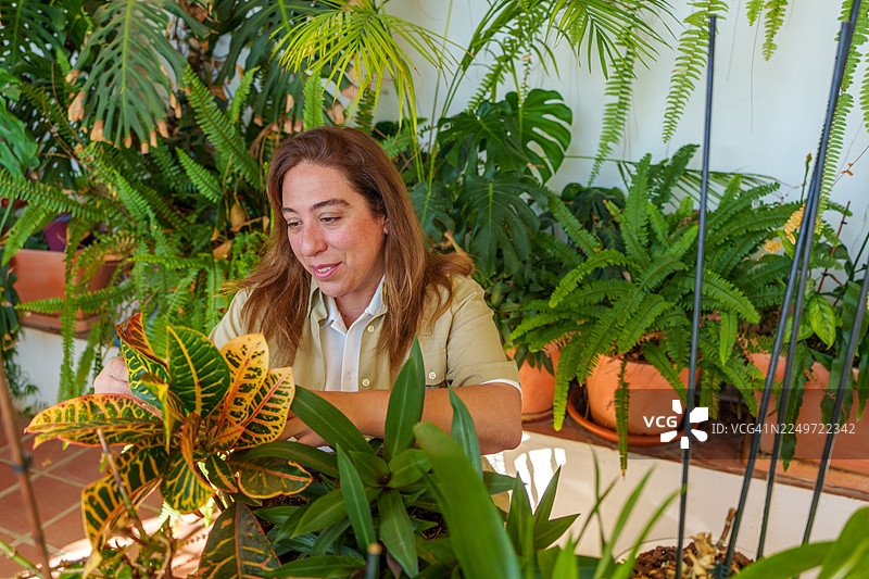 女子在家享受室内园艺的爱好，照料着盆栽植物图片素材