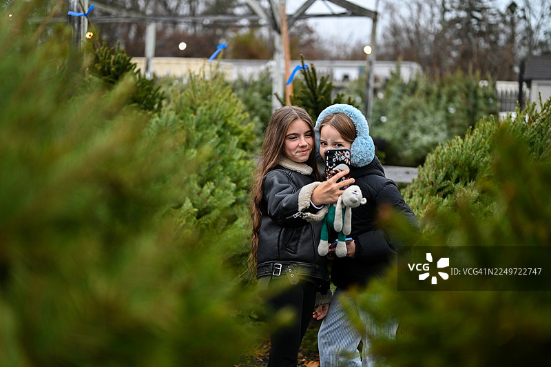 女孩们在圣诞树农场自拍图片素材