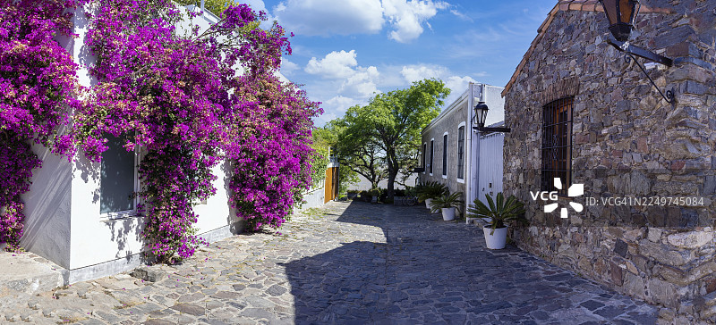 乌拉圭，科洛尼亚·德尔萨克拉门托的历史街区，位于历史中心图片素材