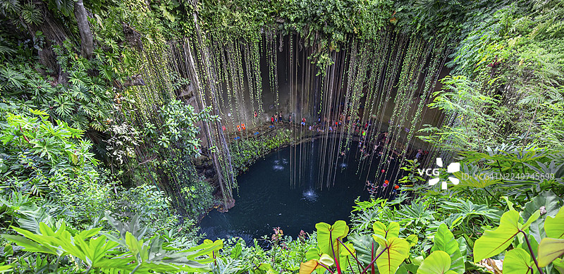 墨西哥伊克基尔，2019年12月20日：伊克基尔天然井位于尤卡坦半岛的北部中心，靠近奇琴伊察的伊克基尔考古公园的一部分图片素材