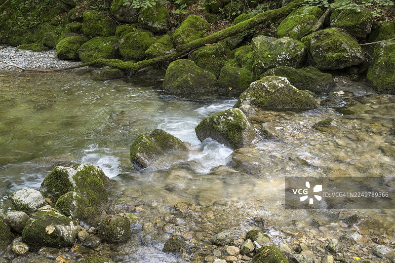罗塔赫河，森林中的山间河流，罗塔赫-埃格恩，曼加尔山脉，上巴伐利亚，巴伐利亚，德国图片素材