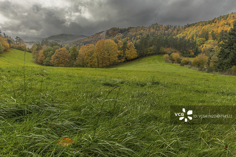 广阔的绿色田野点缀着金黄和红色的树叶。灰色的天空为这宁静的秋日山景增添了戏剧性，远处是连绵起伏的山丘。法国阿尔萨斯省下莱茵地区图片素材
