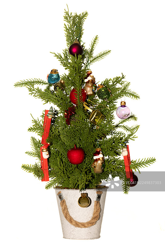 白色水桶里装饰精美的小圣诞树，配有绳柄图片素材