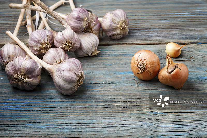 蓝色乡村木质背景上新鲜的紫皮大蒜和橙色洋葱。对比的概念图片素材