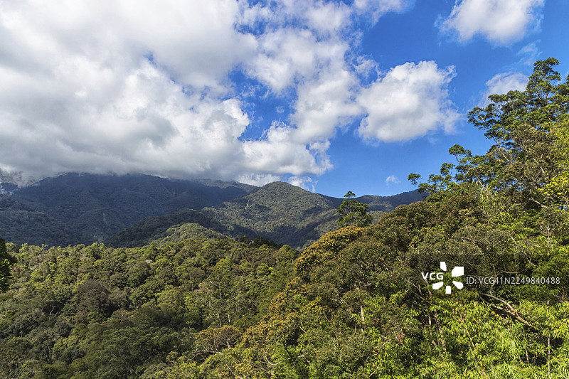 马来西亚，丛林环绕的山脉和多云的天空。图片素材