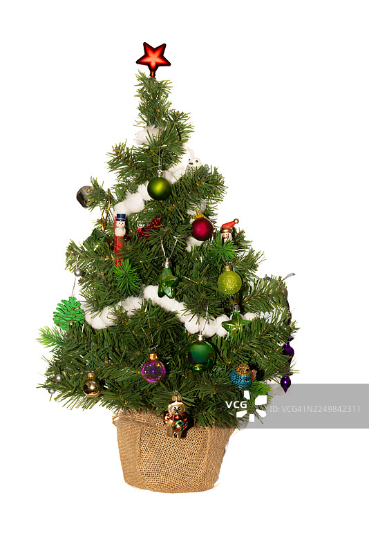 盆栽装饰圣诞小树，外包裹麻布图片素材