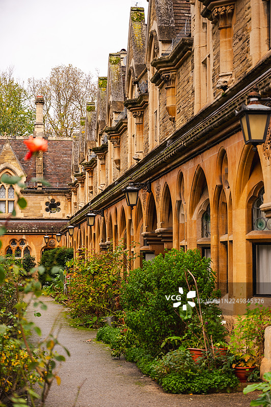 伦敦的住宅建筑群图片素材
