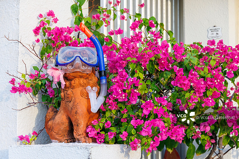 冲绳特有的守护神石狮子。它是一种狮子图案的雕像,摆放在每家重要的位置。三角梅。阿嘉港,阿嘉岛,冲绳。热带天堂般的离岛。庆良间群岛,岛尻郡-2025图片素材