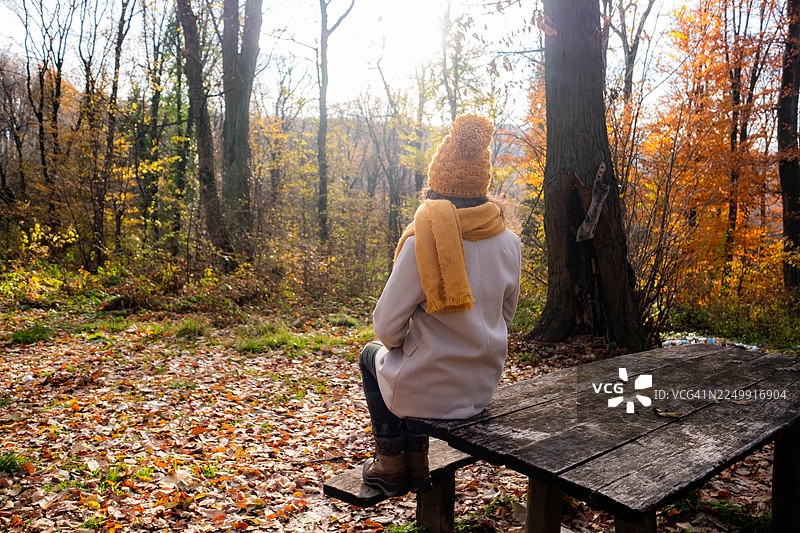 秋季林间漫步，女子在公园长椅上放松图片素材