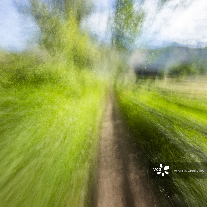 运动模糊的森林小径和树木图片素材
