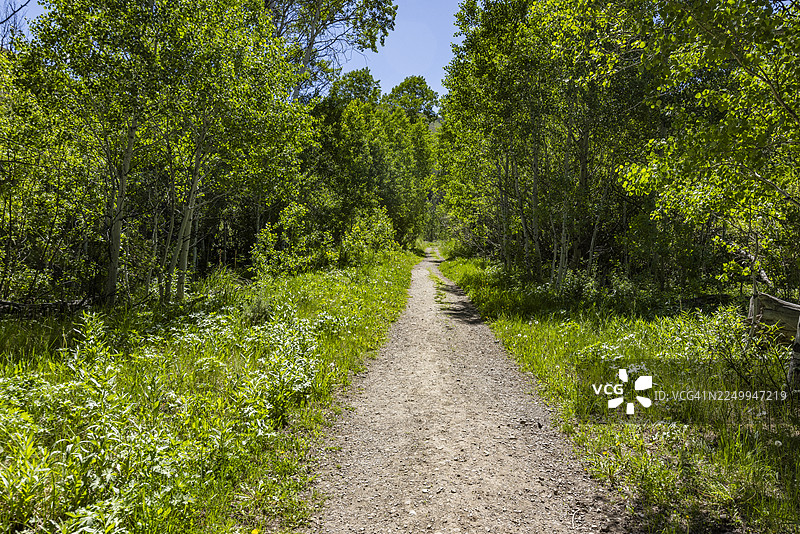 晴天普罗克特环形步道图片素材