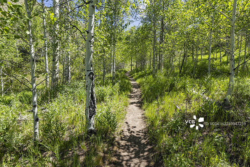 晴天普罗克特环线徒步道图片素材