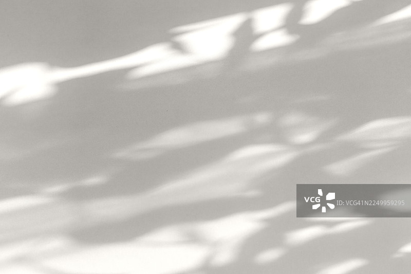 柔和的抽象阴影投射在浅中性背景上，营造出空灵的极简构图，灵感来自2026年度色彩“云舞者”美学。非常适合设计、平静生活方式和健康主题。图片素材