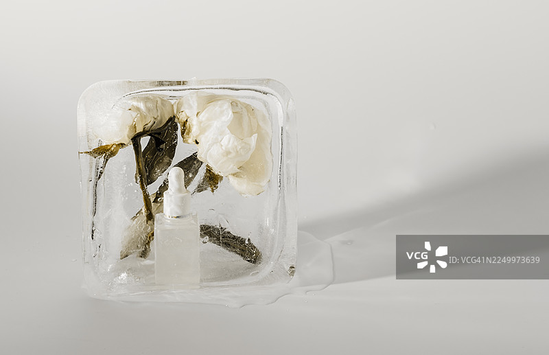 冰块中的冷冻花朵和精华液瓶图片素材