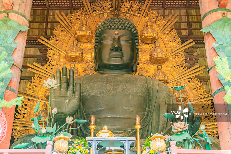 日本奈良东大寺大佛殿大佛景观图片素材