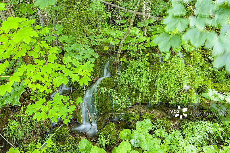 克罗地亚,普利特维采湖群国家公园 (Nacionalni park Plitvicka jezera)图片素材