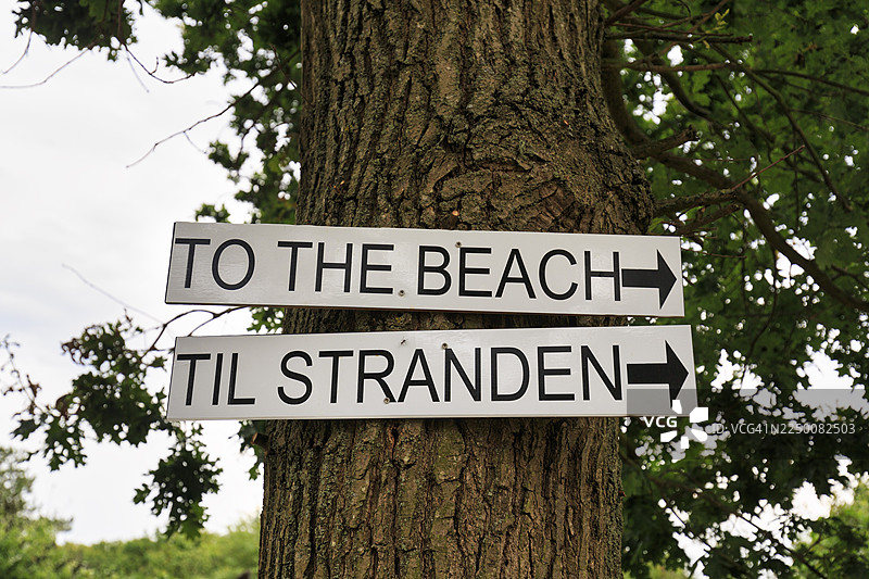 双语指示牌，指向海滩的指示牌立在树上，加洛肯海滩，龙讷，博恩霍尔姆，丹麦图片素材