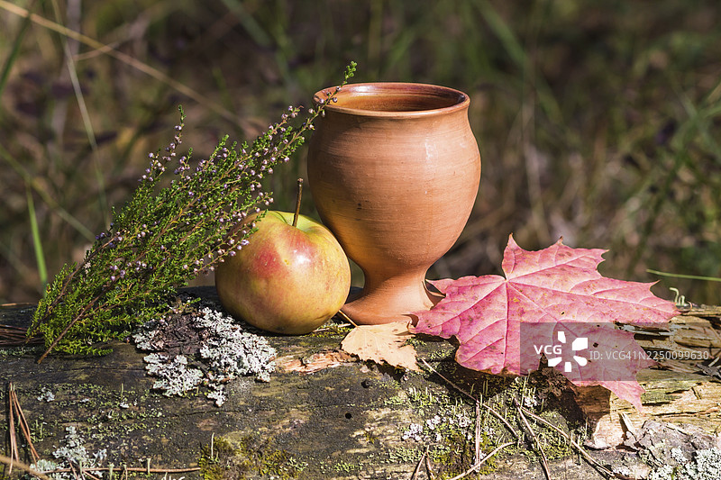 一个带有石楠花、苹果和红叶的陶土杯。秋季静物。图片素材