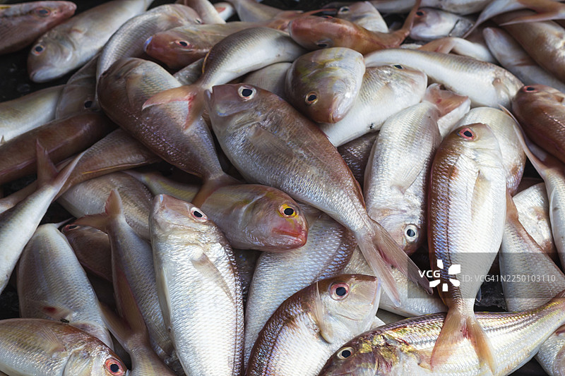 市场上闪闪发光的红色海鱼图片素材